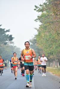 BIB: 260
                            <button type="button" onclick="openModal(10135350)" class="btn btn-primary btn-sm float-right btn-popup" data-toggle="modal" data-target=".modal-high-quality">
                        <i class="fas fa-shopping-cart"></i> Add to Cart
                    </button>
                                            <button type="button" onclick="isThisMe(10135350, true)" class="btn btn-success btn-sm float-right btn-popup btn-isme hidden" data-toggle="tooltip" data-placement="bottom" title="นี่คือรูปของคุณใช่ไหม คลิกที่นี่เพื่อเอาเข้าอัลบั้ม">
                        <i class="fas fa-plus"></i> Add to album
                    </button>
                    <button type="button" onclick="isThisMe(10135350, false)" class="btn btn-warning btn-sm float-right btn-popup btn-isnotme hidden">
                        <i class="fas fa-ban"></i> Remove from album
                    </button>